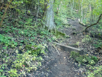 Canted trail, steep climb and pole switchbacks; the first big hill