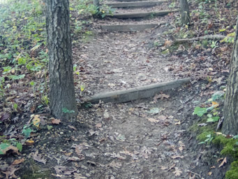 Steps or trail retention ties