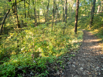 Nice trail descent