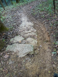 Stairs with a trail beside