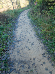 Climbing trail