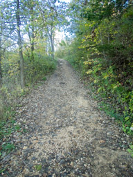 Nice smooth trail