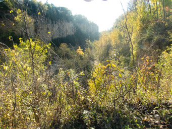Horseshoe Bluff