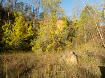 Cliffs of Horseshoe Bluff