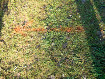 Grass paint