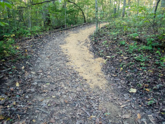 patched trail