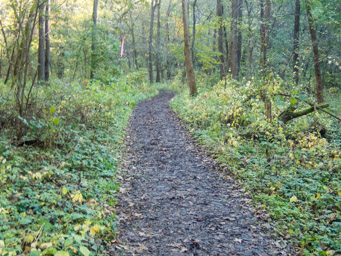 Easy trail