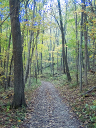 Easy trail