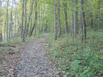 Nice trail