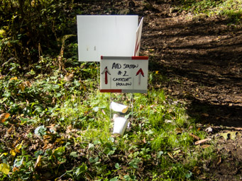 Clear signs