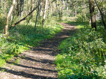 Easy trail