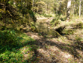Quiet stream