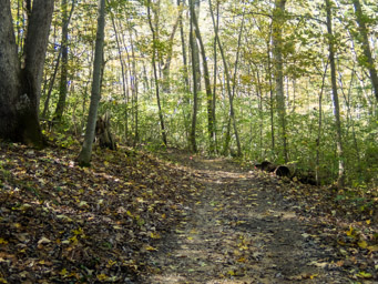 Nice trail