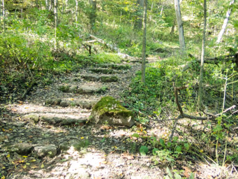 Stone steps heading up