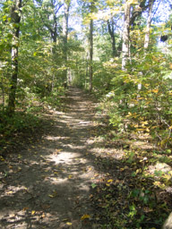Sunlit trail
