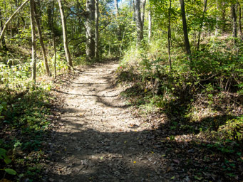 Trail up to the AS