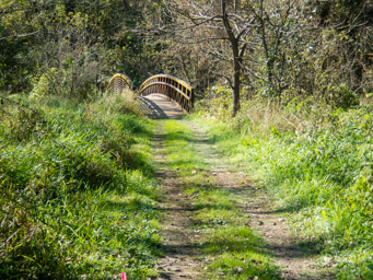 Bridge over Catfish Creek