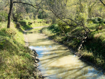 Catfish Creek