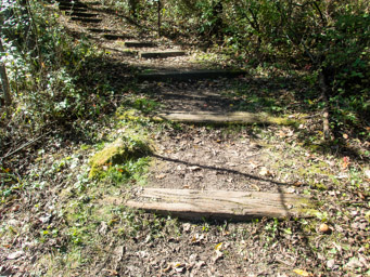 Wood steps up