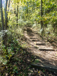 More climbing steps