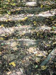 More steps