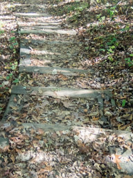 More steps
