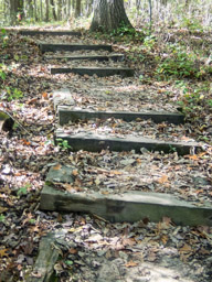 More steps