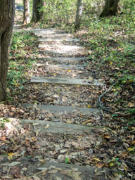 More steps
