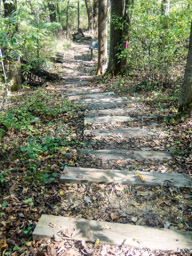 More steps down
