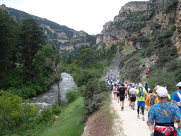 Crowd of runners heading up Tongue River Canyon road.