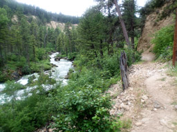 Littlehorn Trail after footbridge.