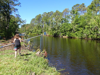 Catching Fish in canal, Palm Coast, FL