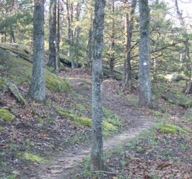 original trail.