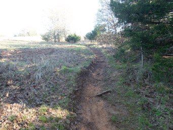Trail erosion