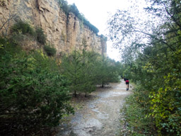 Horseshoe Bluff