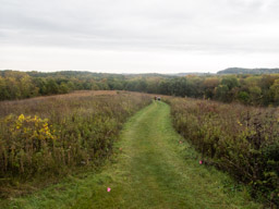 View from a hilltop platform