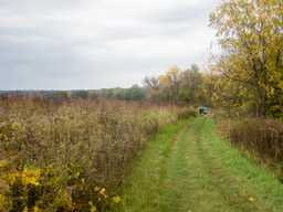 Grassy trails and hillsides