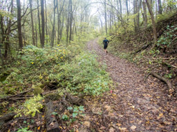 Climbing up from a stream bed