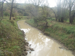 Catfish Creek