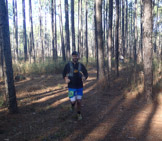 Runners in the pines